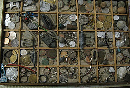 Drobotina plážová i polní od Larsena