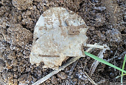 FRW Stab. Ost /FrJ /btl. 668