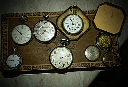 Cibule pod skříní