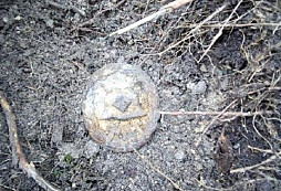 Nález ze středy odpoledne v lese