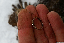 Pár nálezů z ledna