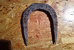 Nálezy zo záhrady IX.