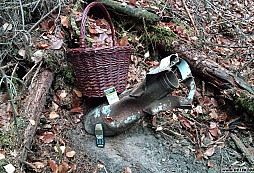 Nález při houbaření (pro mistra Klarkona)