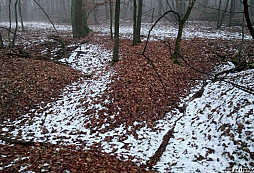 V blízkom okolí zákopov