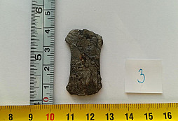 Kousek hasiče a zelené párátko