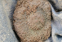 Pár lepších kousků