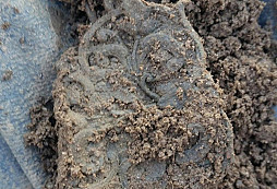 Opět troška lepšího