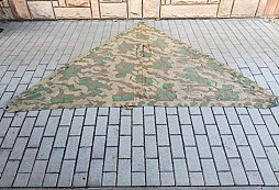 Nález dvou telat a celty