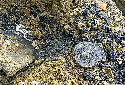 Zaklepal jsem na dveře policie