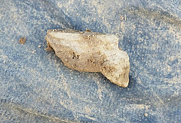 Křidýlko a něco na pokuk