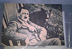 Ve starém haraburdí