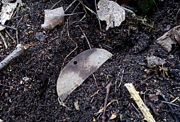 Úterní odpolední nálezy