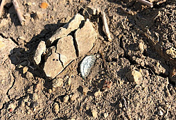 Pouhým pokoukáním