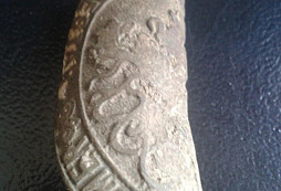 Okresní cestář z louky