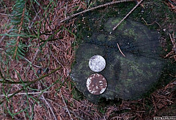 Jarní nálezy a první letošní gold