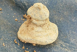 Pár nových nálezů