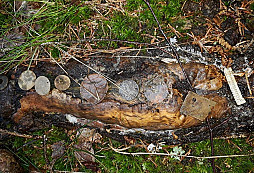 Pár věcí na pokuk a určení