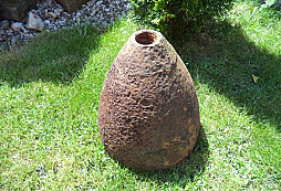 Nález v starém dřevníku 1