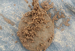 Pár nových nálezů