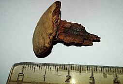 Hřeb s (asi) plátovanou hlavou