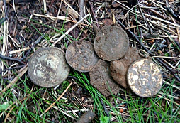 Medaile z jedný díry