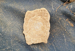 Opět pár nových nálezů