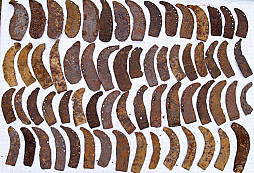 Kraviny, voloviny, koniny a jiné