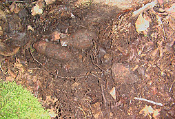 Nebezpečné nálezy