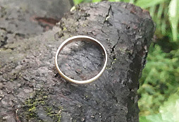 Dnešní žlutej darováček