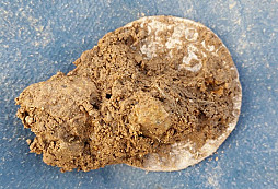 Stříbrná návštěva z Prahy