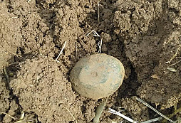 Pomoc s určením nálezů