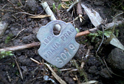 Hafani a trochu přírody