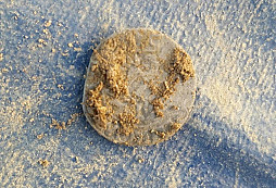 Šlikův stříbrňák a jiné nálezy