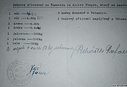 Origo zápisky partyzánů