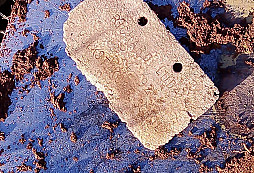 Z profláklé lokality