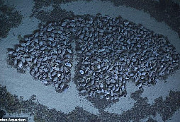 Úspěchy podmořské archeologie