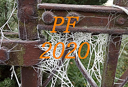 PF 2020