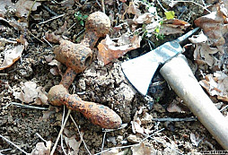 Po stopách obrněnců VIII.