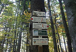 Téměř zaniklý hraniční kámen v lese