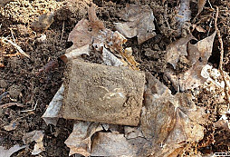 Gustav Brehmer-Luftwaffe