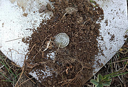 Velikonoční hledání