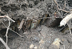 Tři bedýnky signálek