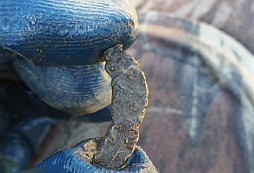 KO puškospona a jiné kousky