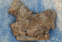 Koník, svátostka a jiné