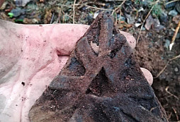 Nedělní procházka po lese