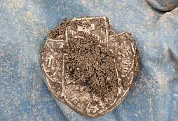 Patriot, Ježíš a jiné nálezy