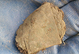 Záhadný rytíř, Frantík a jiné