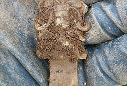 Andělíček, námořník, FJI a jiné