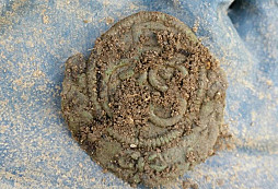 ČSR, 6krejcar a jiné