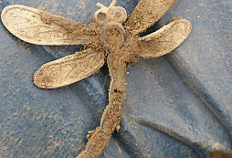 Vážka, FJI a jiné kousky